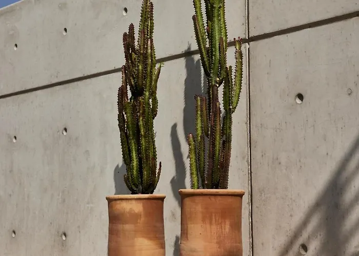 Apartahotel White (adults Only)