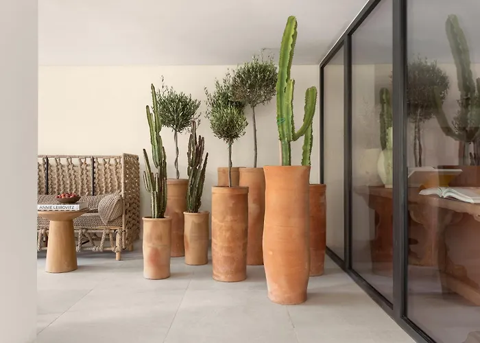 White (adults Only) Apartahotel