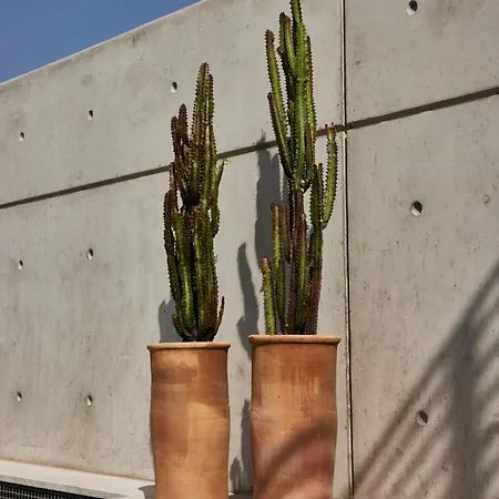 شقة فندقية White (adults Only)